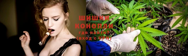 каннабис Арсеньев