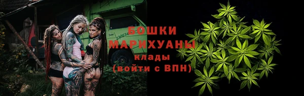 гидра Аркадак