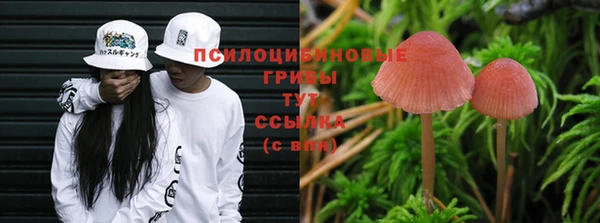 метадон Пестово