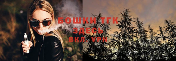 гидра Аркадак