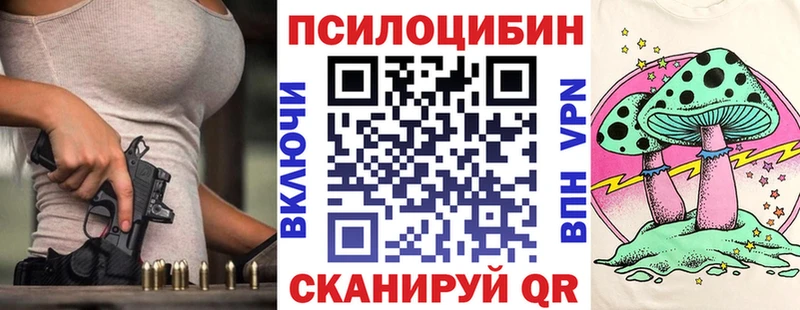 гидра ТОР  закладка  Протвино  Псилоцибиновые грибы мицелий 