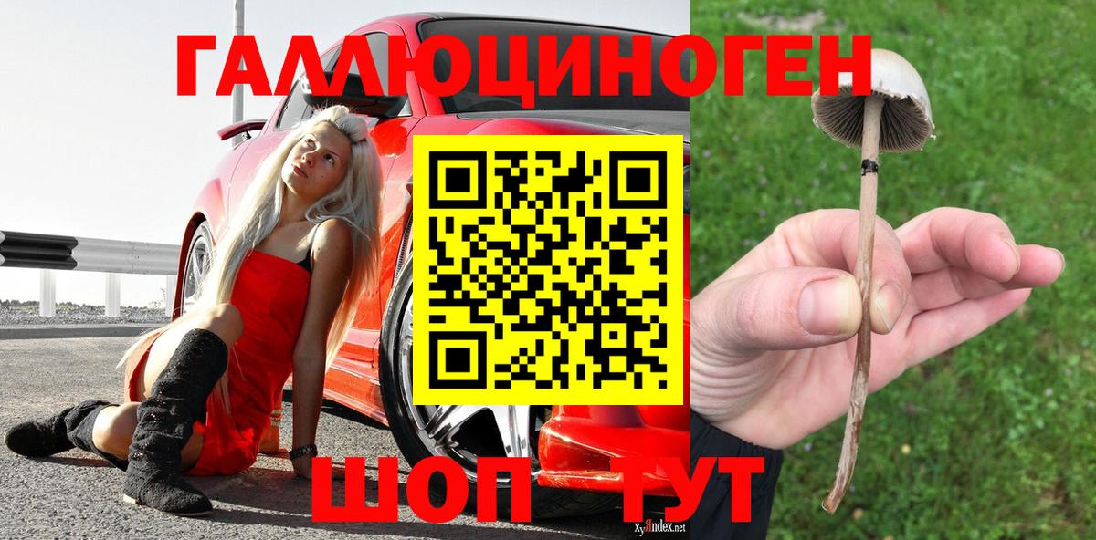 Галлюциногенные грибы прущие грибы  Вход с VPN  Протвино 